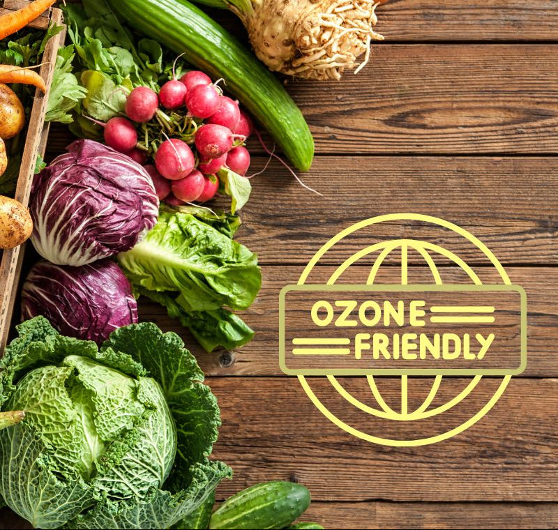 Ozonowanie żywności myjka Vita-MY